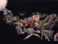 Time Scale 2:  Early Animal Life
