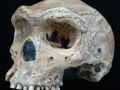 Time Scale 5:  The First Modern Humans