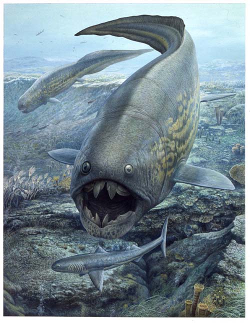 Dunkleosteus and Cladoselache