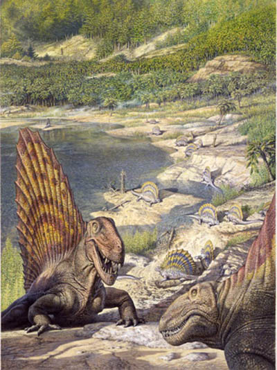 Dimetrodon & Edaphosaurus