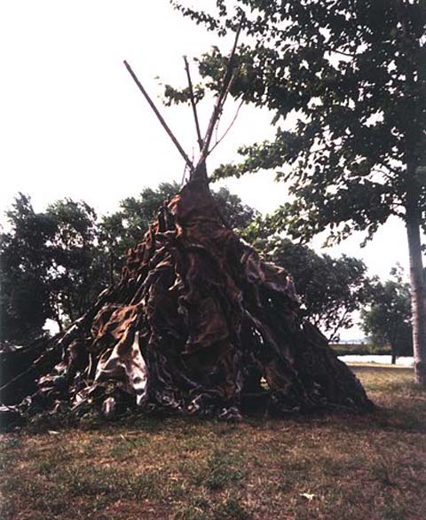 A primitive man-made shelter